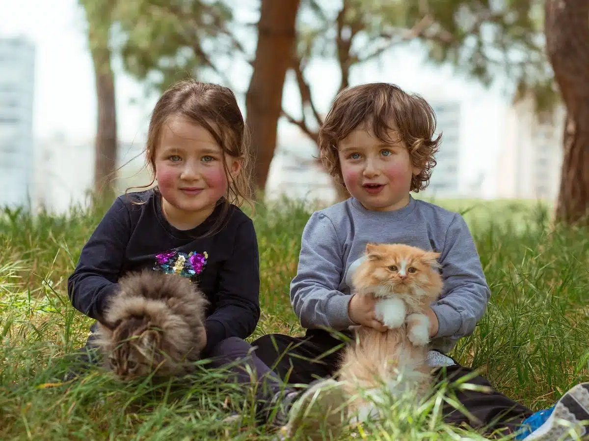 enfants  animaux