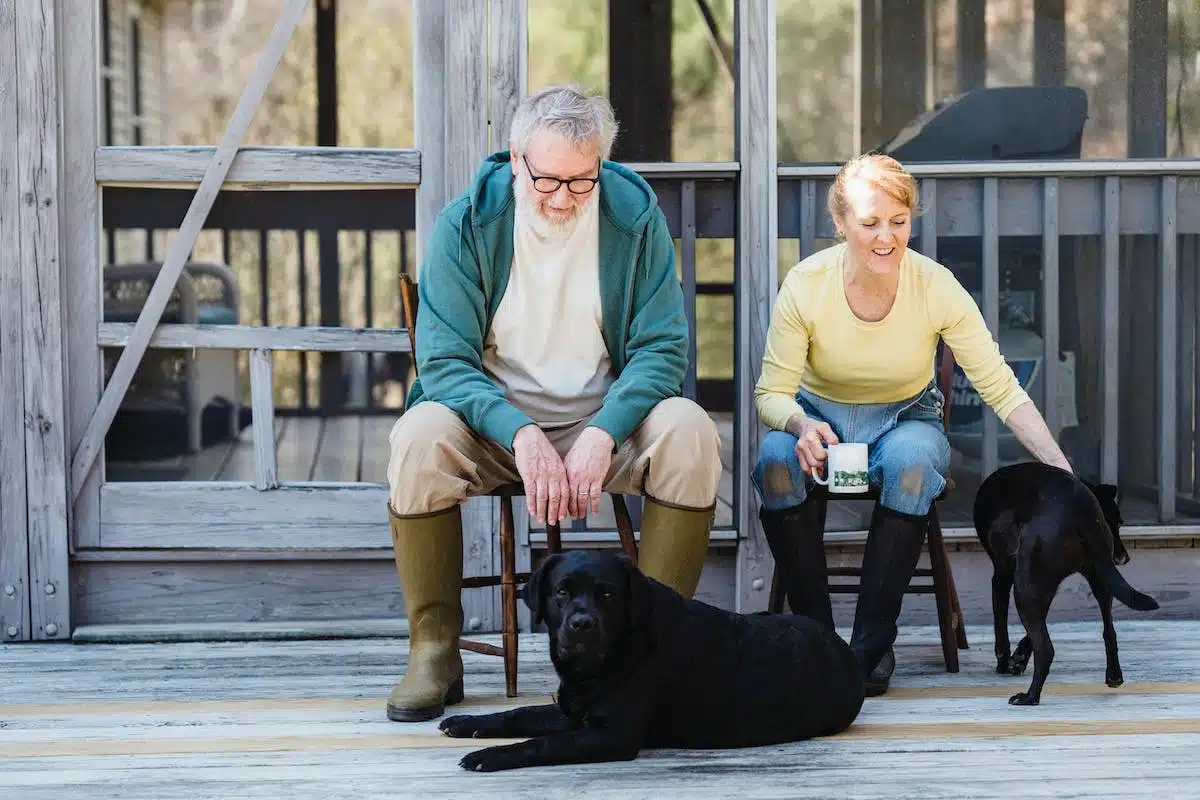 personnes âgées  animaux de compagnie