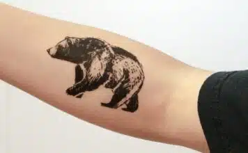 Tatouage Ours : Signification et histoire Tatouage Ours : Signification et histoire