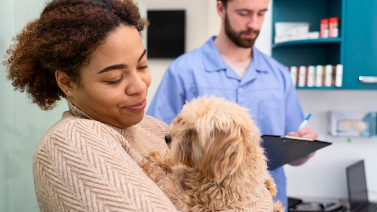 Assurance santé animale : pourquoi si peu de propriétaires franchissent le pas ?