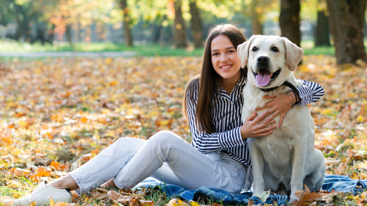Assurez votre chien pour lui offrir le meilleur des soins en cas de besoin