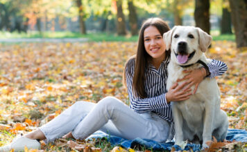 Assurez votre chien pour lui offrir le meilleur des soins en cas de besoin