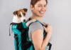 Comment choisir le sac de transport idéal pour votre chien ?