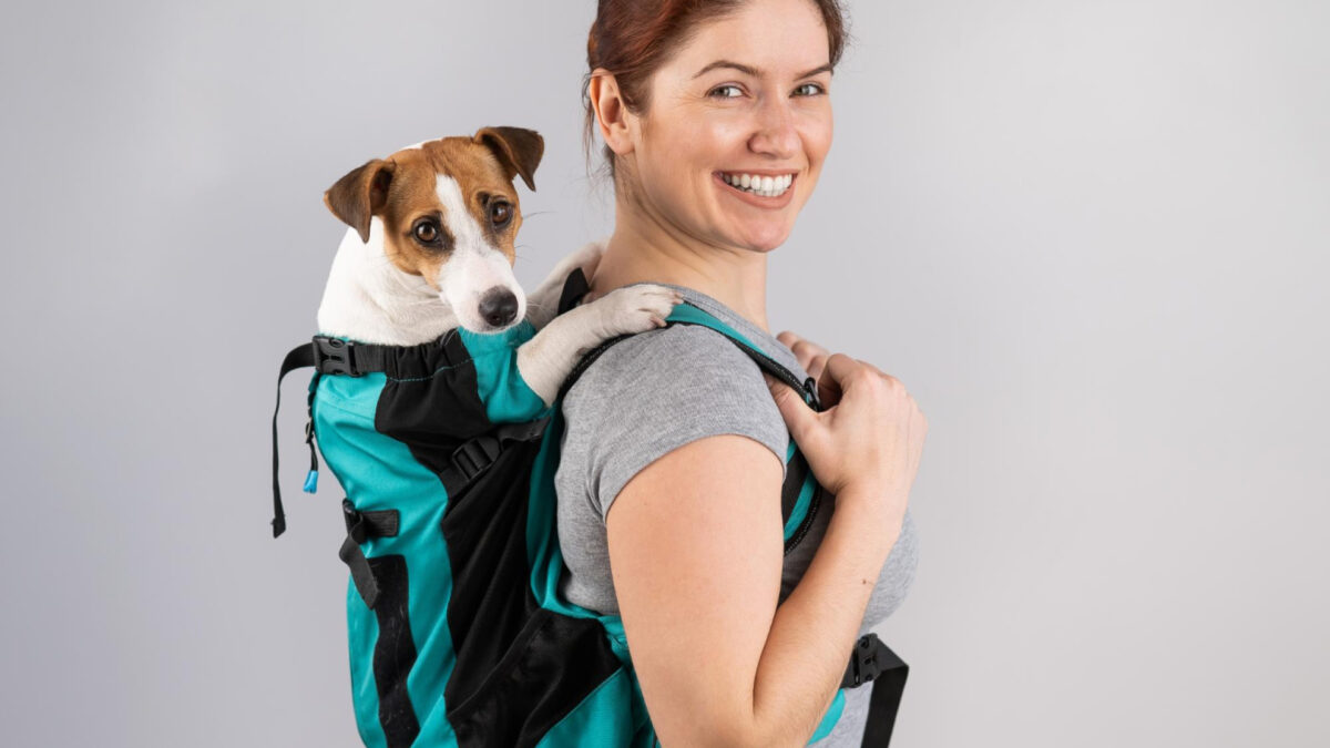 Comment choisir le sac de transport idéal pour votre chien ?