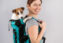 Comment choisir le sac de transport idéal pour votre chien ?