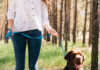 Comment le dog sitting contribue au bien-être mental et physique des chiens ?