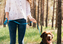 Comment le dog sitting contribue au bien-être mental et physique des chiens ?