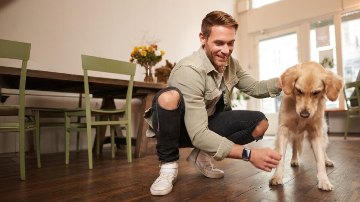 Home-sitting : la nouvelle façon sereine de faire garder ses animaux !